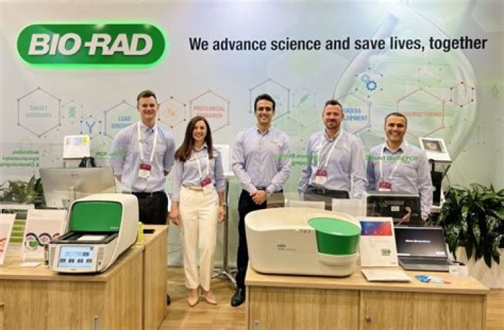 Elisha Cuthbert: Bio, Career & More