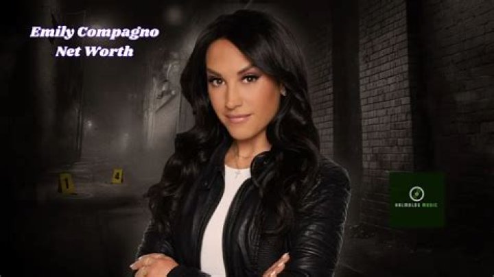 Emily Compagno: Net Worth, Career & Family - What's Known?