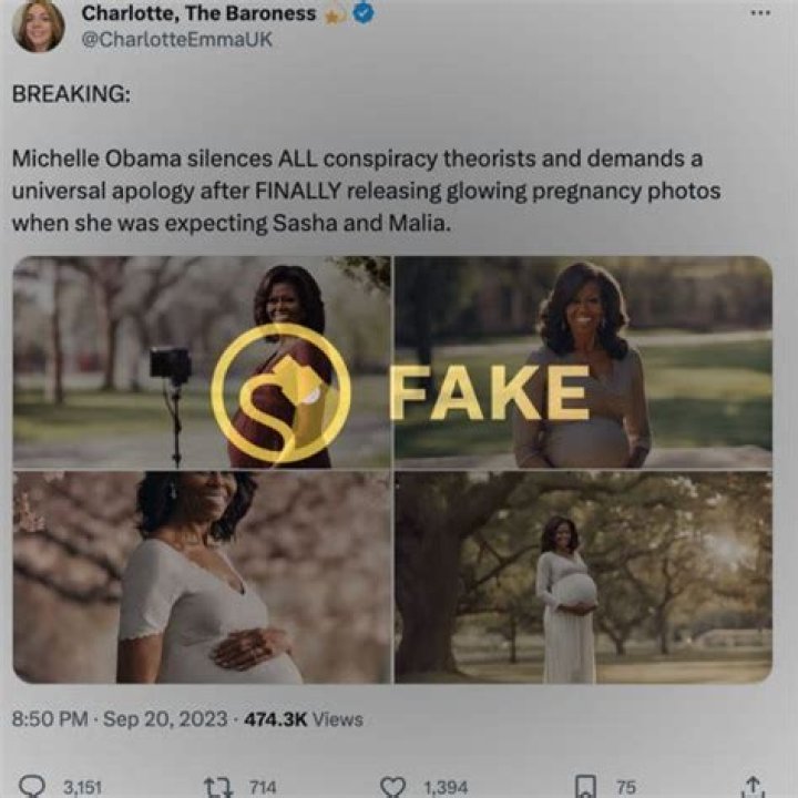 Fact Check: Michelle Obama's Birth Name and Gender