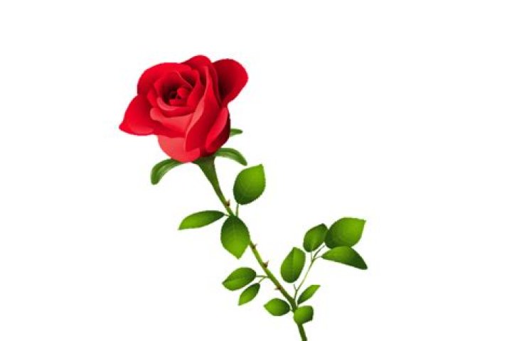 Hot Red GIFs: Find & Share Animated GIFs