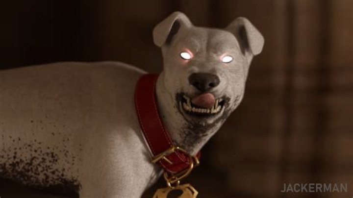 Jackerman: Unveiling Chapter 3's Key Characters & Stories