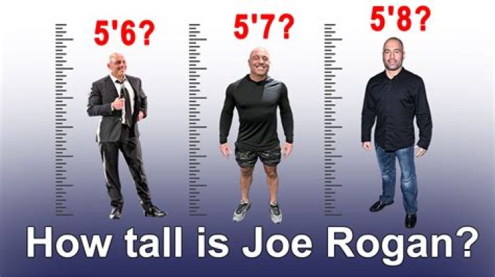 Joe Rogan's Real Height: The Truth