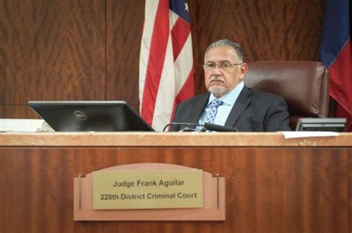 Judge David Fleischer: Harris County Criminal Court