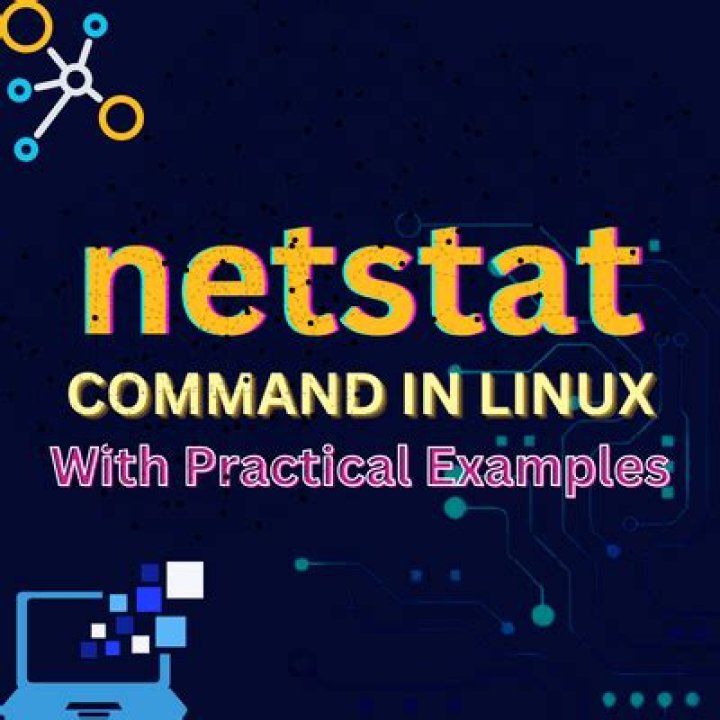 Learn Netstat Command: Linux Examples &amp; Tutorial