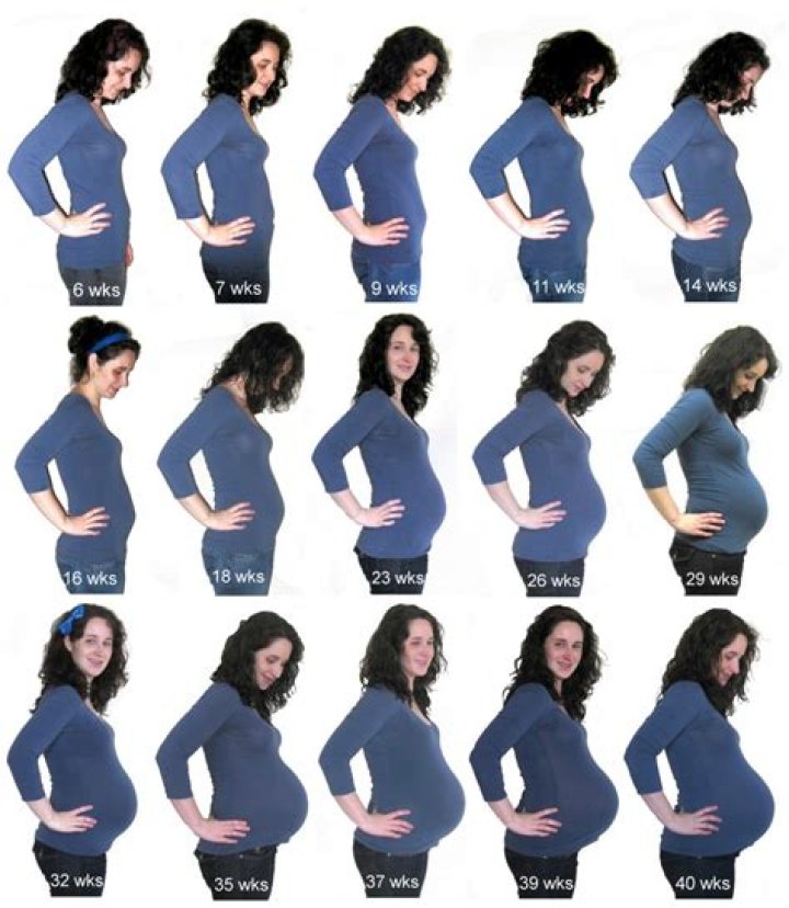 Pregnancy: Baby Bump Growth & Size Chart Week by Week