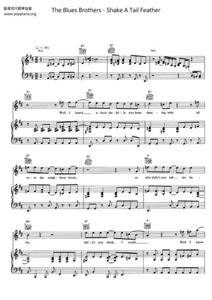 Shake a Tail Feather: Ray Charles & Blues Brothers Hit!