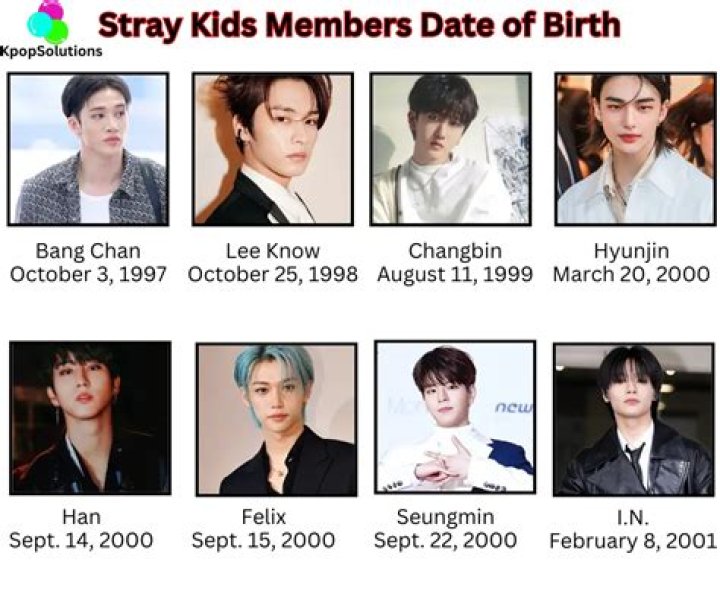 Stray Kids Ages & Profiles 2024: Birthdays, Debut & More!