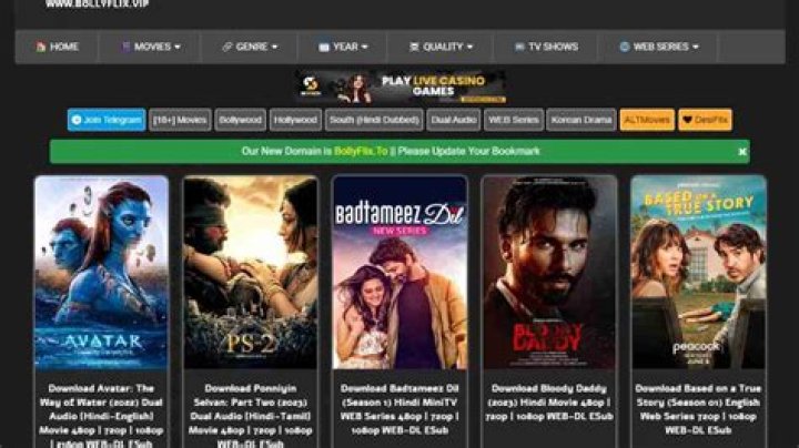 Stream Bollywood Movies Free: BollyFlix Ninja Guide