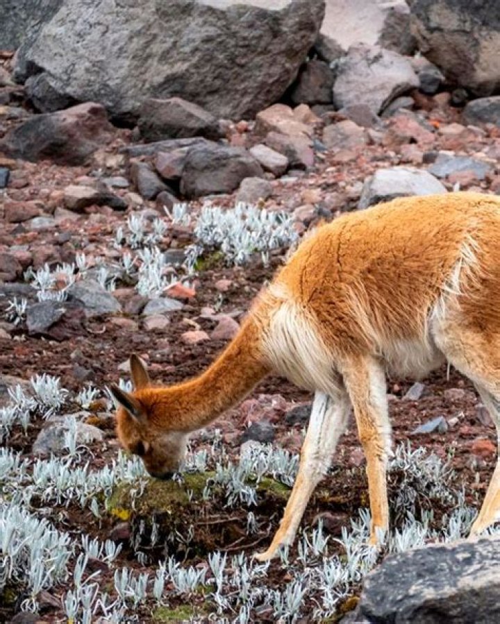 Top Facts About Paul Wesley's Life and Career