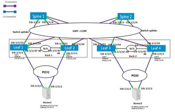 Understanding L3: Support, Spine, and Networking