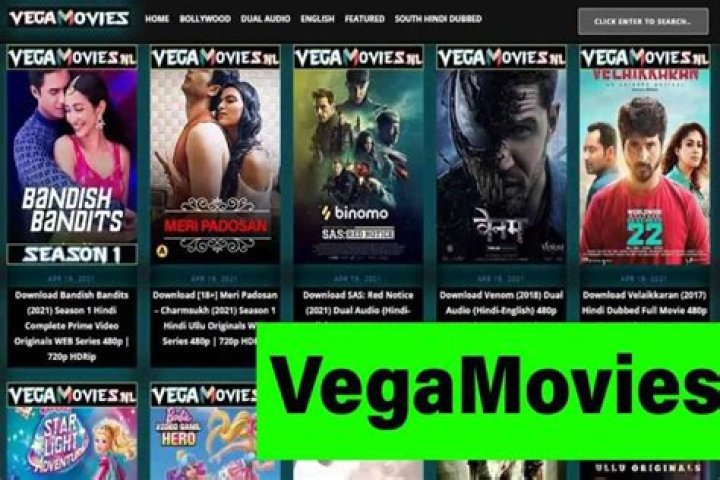 Watch Movies & TV Shows Online Free: VegaMovies