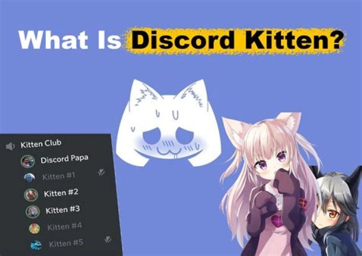 What is a Discord Kitten? Meaning & Servers